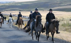 Guðmundur frá Mýri og fleiri góðir hestamenn